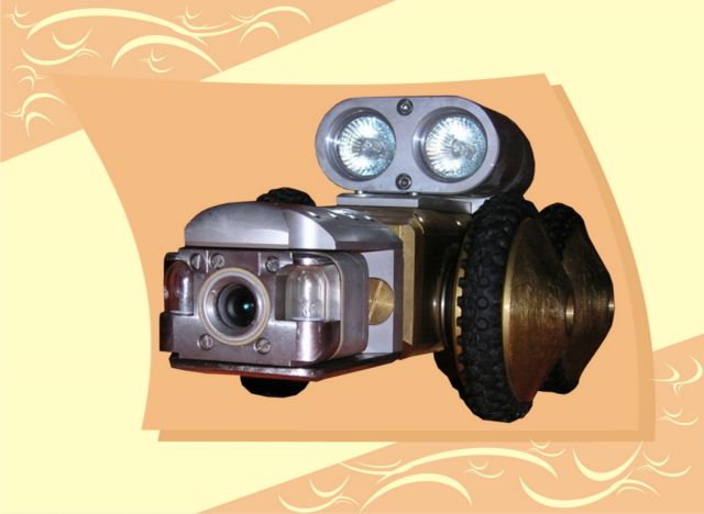Revizní kamera